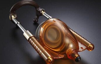 Penis prosthesis