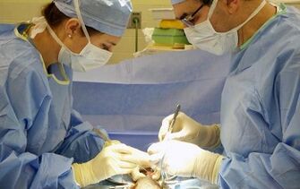 Surgical methods of the increase in penis