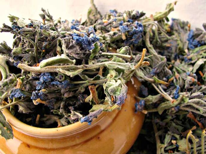 A dried lung to prepare an infusion of a drug that enlarges a man's penis