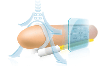 The principle of operation of the expander to prolong the phallus for a long time